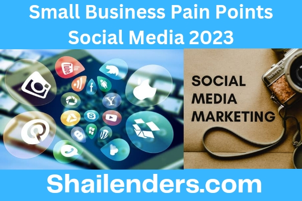 Small Business Pain Points Social Media 2023
